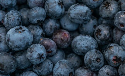 Antioxidants: What Are They and How Do They Help Dogs Fight Cancer?