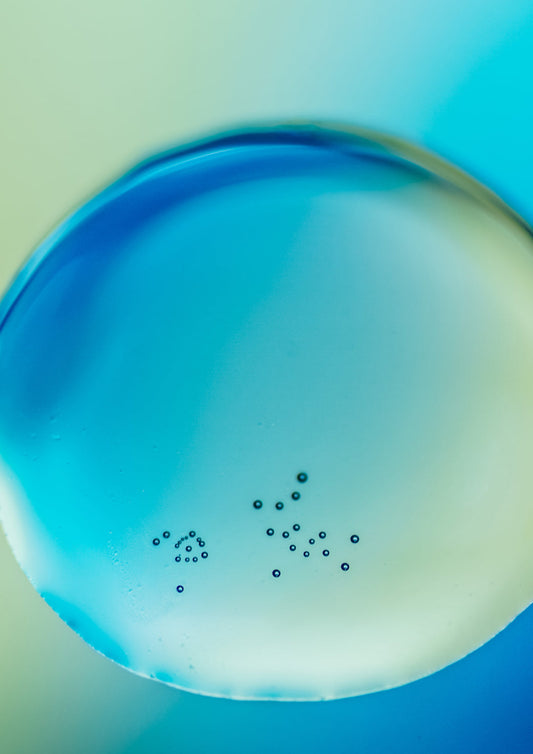 Understanding How Dogs Respond to Cancer and Cancer Treatments