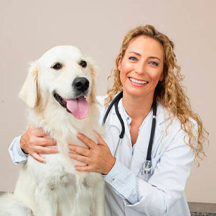 Canine Cancer Developments in 2024